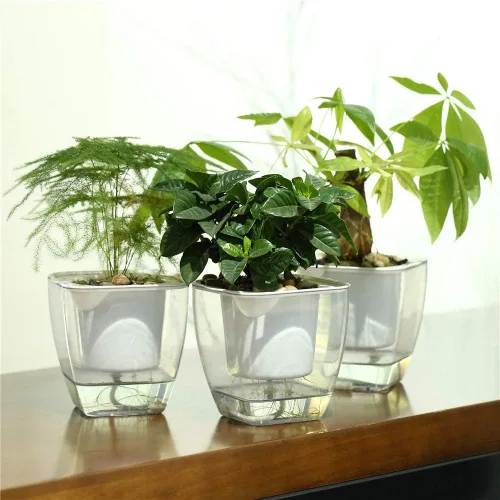 Vista 8 de FENGZHITAO - Maceta de riego automático, macetas de plástico transparente con riego automático, maceta cuadrada para todas las plantas de casa