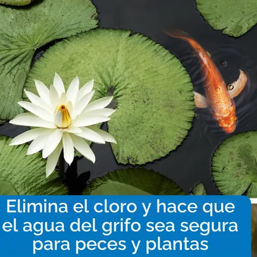 Vista 4 de pondcare cloro y Heavy Metal Neutralizer