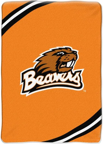 Vista 127 de Northwest NCAA Unisex-Adult Raschel Throw Blanket Alumni