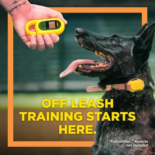 Vista 7 de CUE - Collar negro con bloqueo de nivel de seguridad para aumentar la vibración, impermeable, recargable para perros pequeños, medianos y grandes