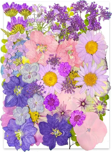 Vista 10 de 14 Tipos 37 piezas Flores Azules Secas Prensadas para Moldes de Resina, YouthBro Flores Secas Naturales Prensadas para Manualidades de Arte DIY