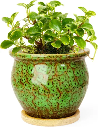 Vista 13 de ARTKETTY Macetas de 4.5 pulgadas con drenaje, pequeñas macetas de cerámica para plantas de interior Rojo
