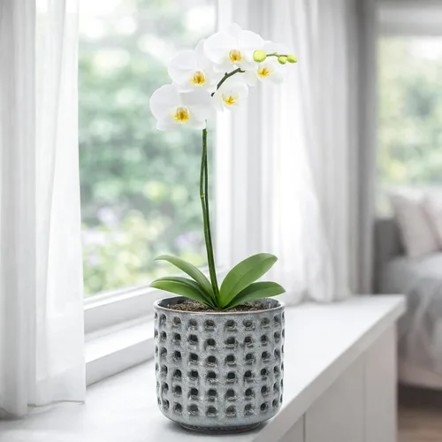 Vista 6 de D'vine Dev Maceta de cerámica para orquídeas de 4.5 pulgadas con diseño de recorte de celosía, maceta esmaltada con maceta transparente y platillo