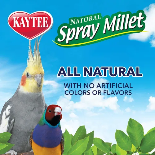 Vista 6 de Kaytee Spray Millet For Birds, 12 Count (Pack of 1) (El embalaje puede variar)
