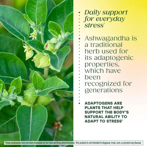 Vista 5 de MegaFood Fuerza suprarrenal - Suplementos de apoyo suprarrenal con ashwagandha y glicinato de magnesio, vitamina C, albahaca sagrada, astrágalo