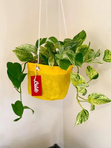 Vista 4 de Caldo Dos perchas para plantas, perfectas para decoración de interiores o exteriores (amarillo)