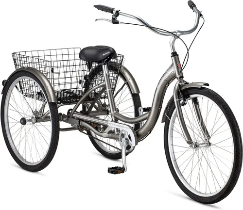 Vista 14 de Schwinn Meridian