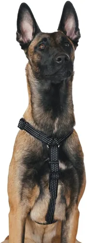 Vista 12 de Anatomically Correct - Arnés para perro en forma de Y, no restrictivo, sin tirones, ajustable de 6 puntos para movimiento natural, a prueba