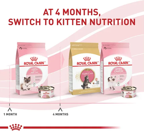 Vista 5 de Royal Canin Feline Health Nutrition Mother & Babycat Queen - Mousse en salsa ultra suave para gatos, 3 onzas (paquete de 6)