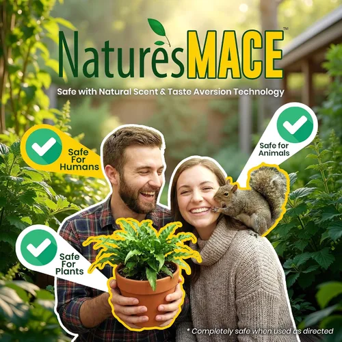 Vista 5 de Nature's Mace Maza de ardilla, repelente de ardillas para exteriores, aerosol de 40 onzas, repelente de ardillas y ardillas, mantiene a las ardillas