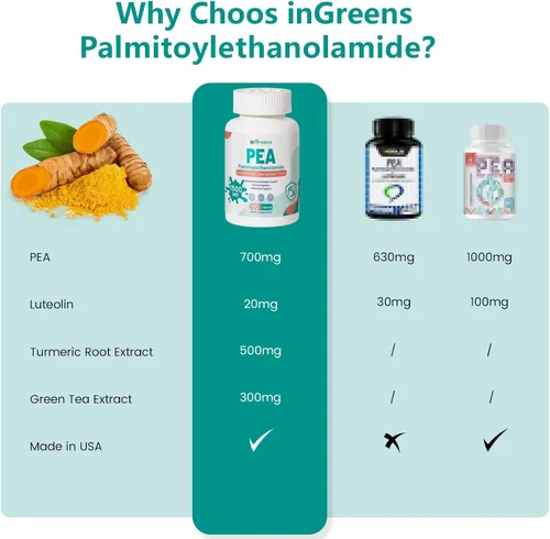Vista 3 de inGreens Palmitoiletanolamida 4 en 1 de alta potencia, suplemento de guisante de 700 mg para hombres y mujeres, fabricado en Estados Unidos, 60