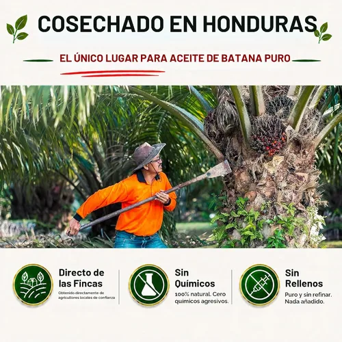 Vista 5 de Aceite de batana - El aceite milagroso hondureño para el crecimiento del cabello y el cuidado de la piel - 100% puro - 16 oz (454G)