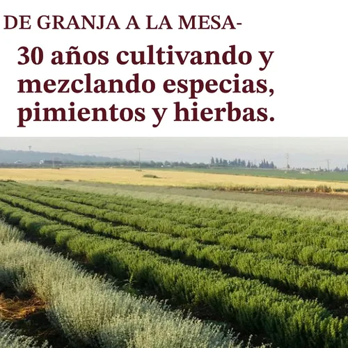 Vista 4 de The Spice Way Hierbes De Provence - 4 oz condimento de hierbas frescas y especias