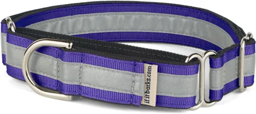 Vista 20 de If It Barks Collar Martingala reflectante de 1" para perros, ajustable, fabricado en Estados Unidos, pequeño, oro amarillo Amarillo Oro