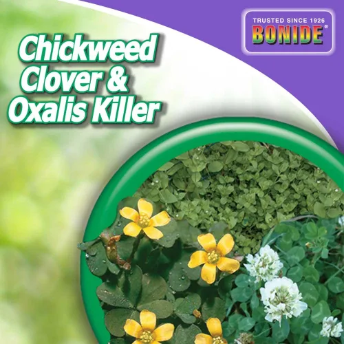 Vista 7 de Bonide 061 Chickweed & Clover Killer, Concentrado, 1-Pt. - Cantidad 1