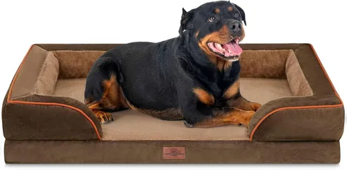 Vista 52 de Comfort Expression - Cama ortopédica para perros medianos, 28 x 19 pulgadas, cama impermeable y de apoyo de espuma con cojines removibles, sofá