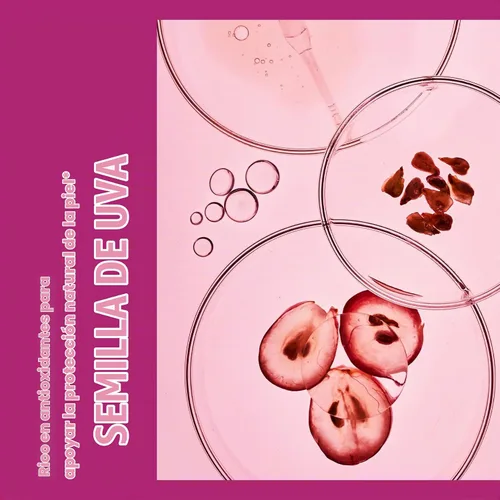 Vista 3 de Swisse Cápsulas de extracto de semilla de uva Suplemento antioxidante de extracto de semilla de uva con vitamina C para la piel y soporte