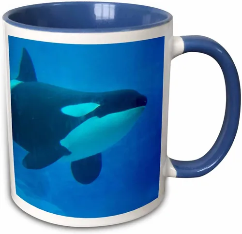 Vista 11 de 3dRose Orca Killer Whale - Taza de cerámica azul subacuática, 11 onzas