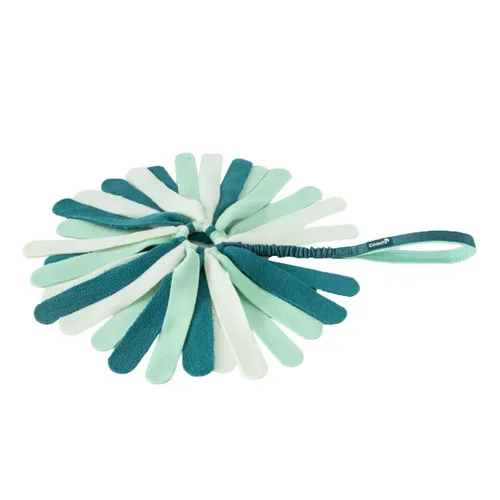 Vista 2 de Juguete para perros Coachi PUPPY & MINI TUGGI SPIDER Verde