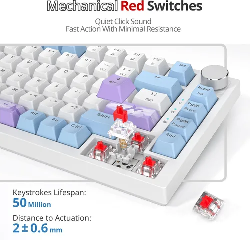 Vista 3 de Junta de teclado 75% montada con almohadillas absorbentes de sonido, teclado mecánico RGB compacto de 82 teclas con cable para juegos, enchufe