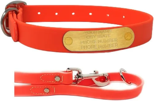 Vista 11 de Regal Dog Products Collares de perro pequeños negros impermeables con placa de nombre personalizada grabada Collar de perro de Biothane