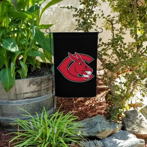 Vista 4 de Bandera de jardín con logotipo secundario de la Universidad de Central Missouri con soporte para poste