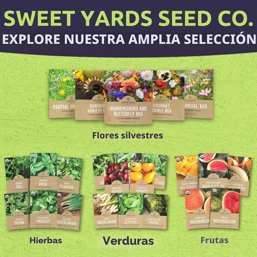 Vista 8 de Zinnia Cut & Come Again Mix - Paquete grande de 1 onza - 4,000 semillas de flores para plantar - Zinnia elegans