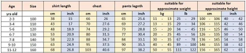 Vista 2 de Conjunto de uniforme chino de Kung Fu Maestro Tai Chi Dragón Chino para niños y niñas
