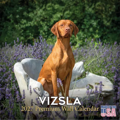 Vista 141 de Calendario de Lebrel Afgano 2025 2026, calendario mensual de pared de raza canina, 12" x 18" abierto, papel grueso sin traspaso, ideal para regalo