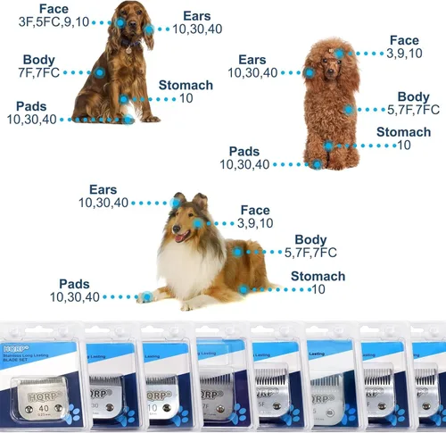 Vista 7 de HQRP Cuchilla para cortar animales compatible con Oster Tamaño-4F CryogenX Professional Pet Grooming