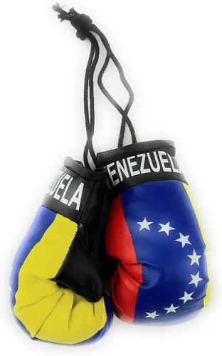 Vista 33 de Mini guantes de boxeo para colgar en el espejo del coche (Camerún)