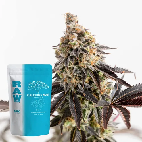 Vista 5 de RAW Calcio/Mag 2oz - Combo esencial para la salud vegetal - Aumenta la fuerza celular y la absorción de nutrientes