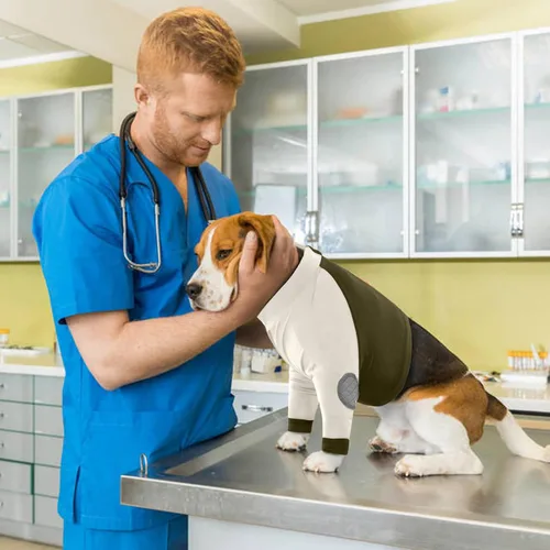 Vista 6 de LeLePet Traje de recuperación para perros para las patas delanteras, manga para perros para detener la lamida, protector de codo para lesiones