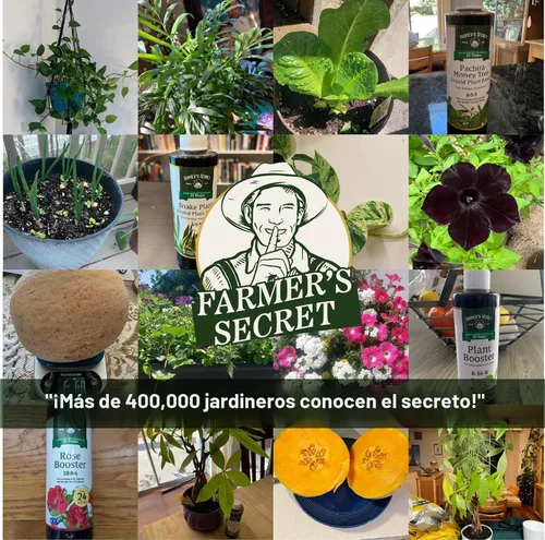 Vista 6 de Farmer's Secret Soil Revitalizer (8 onzas) - Refuerzo de suciedad beneficioso orgánico (listado OMRI) - Ácido húmico activado - Enmienda de suelo