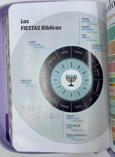 Vista 5 de biblia tamaño bolsillo reina valera 1960 lila/ flores cierre con indice piel imitacion 8 puntos Imitation Leather – 1 Enero 2023
