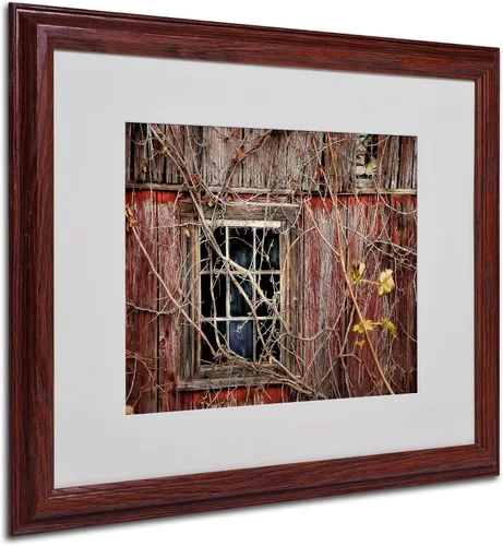 Vista 7 de Trademark Fine Art Lois Bryan - Arte enmarcado con marco de madera, 11 x 14 pulgadas