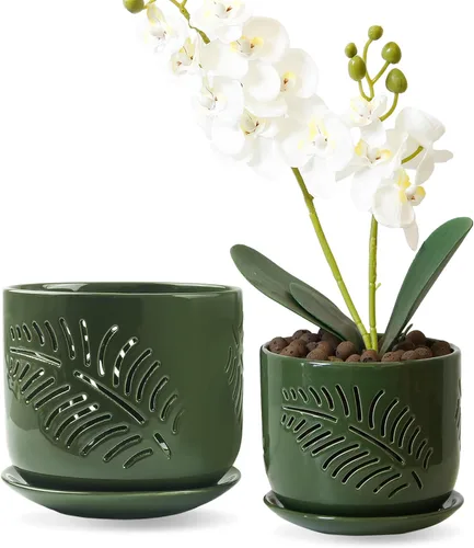 Vista 12 de Macetas para orquídeas LITUDISO, 5+6 pulgadas, blancas, de cerámica, aireadas, para interior/exterior, 7 pulgadas de ancho/altura, paquete de 2