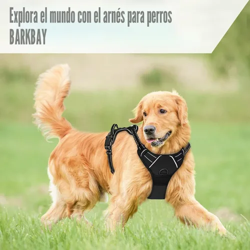 Vista 8 de BARKBAY Arnés sin tirones para perro, clip frontal, resistente, reflectante, mango de fácil control para pasear perros grandes (negro, L)