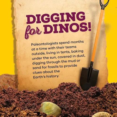 Vista 7 de Dan&Darci Kit de excavación de fósiles reales para niños, kits de ciencia para niños y niñas de 8 a 12 años, ideas de regalo de cumpleaños