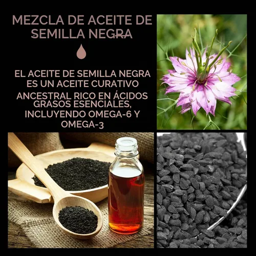 Vista 3 de CHI Crema seca de aceite de semilla negra de lujo, 6 onzas líquidas