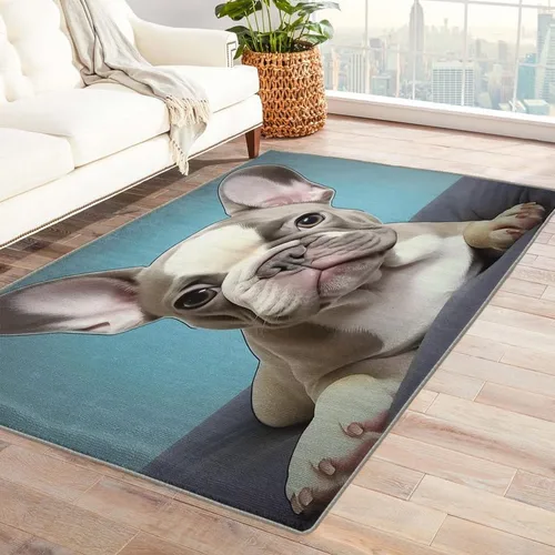 Vista 9 de Alfombras lavables para sala de estar, dormitorio, alfombra de bulldog francés y decoración del hogar, alfombra divertida para perros de 5 x 8 pies