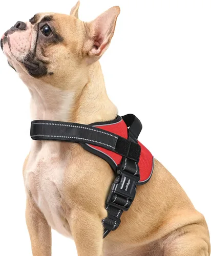 Vista 9 de rabbitgoo Arnés para perro de tamaño pequeño, chaleco para mascotas sin tirones, sin estrangulamiento, fácil de llevar con una hebilla, reflectante
