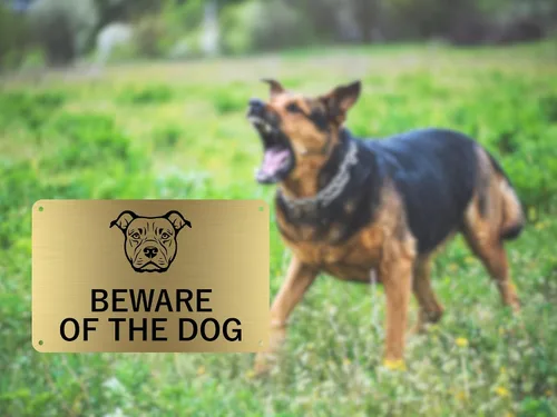 Vista 4 de Letrero de Beware of the Dog (Staffordshire Bull Terrier) – Advertencia fácil de ver, aviso para interiores y exteriores, letrero disuasorio