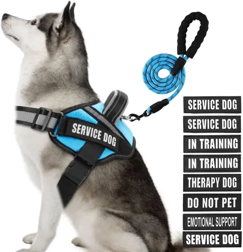 Vista 55 de Juego de Chaleco y Correa para Perro de Servicio, Arnés de Entrenamiento Animire para Perro con 10 Parches para Perros, Correa Reflectante