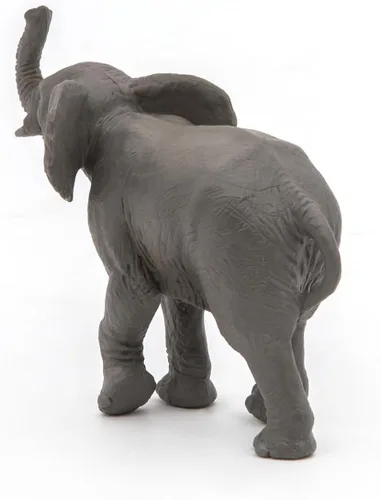 Vista 8 de Papo -Pintado a mano - Figura -Wild Animal Kingdom - Elefante joven -50225 -Coleccionable - para niños - Adecuado para niños y niñas- a partir de 3