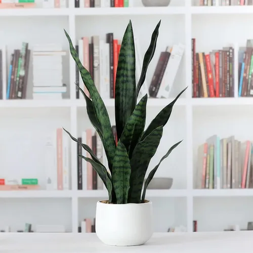 Vista 6 de Beebel Planta artificial de serpiente de 22 pulgadas, Sansevieria falsa, agave falso, plantas en maceta, vegetación de plástico para el hogar Verde