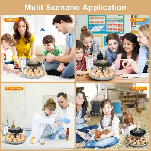Vista 6 de IBKINXX Incubadora para incubar huevos: capacidad de 18 huevos, girador automático de huevos, control de temperatura y humedad, visualización