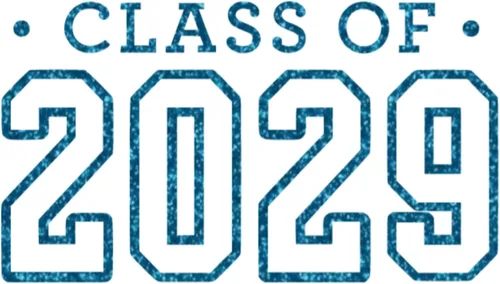 Vista 16 de Calcomanía para planchar de clase 2029, parche de camiseta de clase superior, transferencia de calor, calcomanía gráfica de camiseta HTV