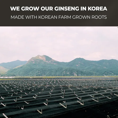 Vista 8 de Barra de ginseng rojo coreano de 6 años, 100 unidades, cada extracto de ginseng Plus, 100% de origen coreano, raíces de 6 años, aumenta la energía