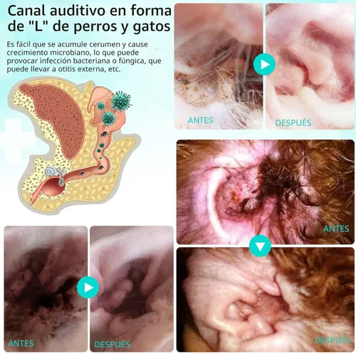 Vista 5 de Tratamiento de ácaros para gatos y perros, fórmula natural de aloe vera
